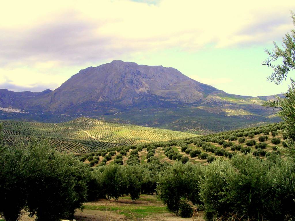Italy and FAO highlight importance of Mediterranean diet for sustainable management of land