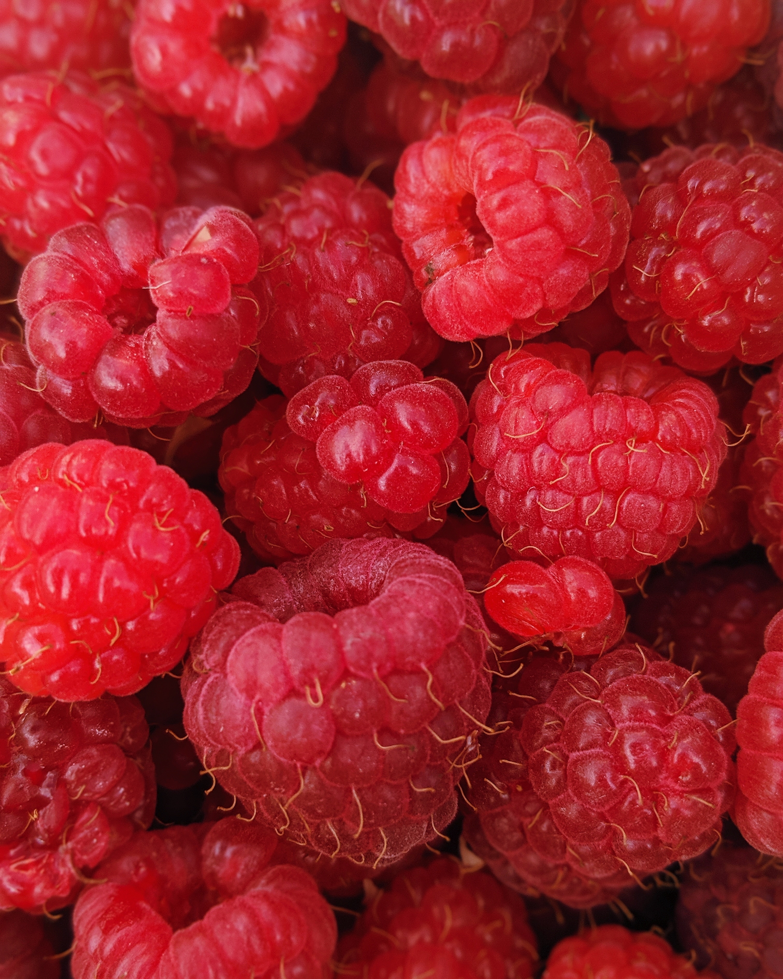 Raspberry clafoutis